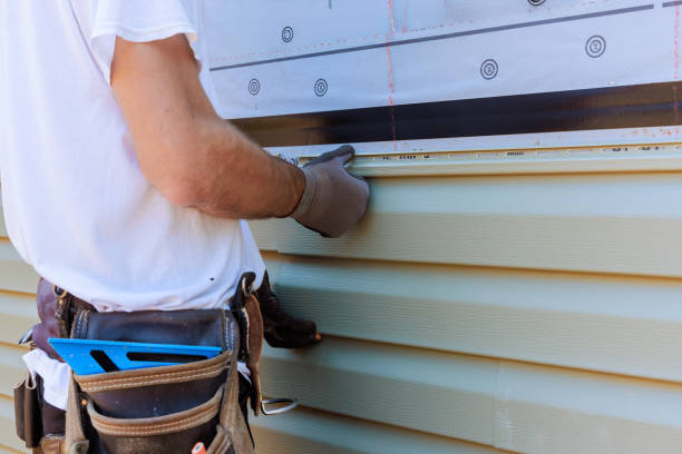 Affordable Siding Installation solutions in Drayden, MD